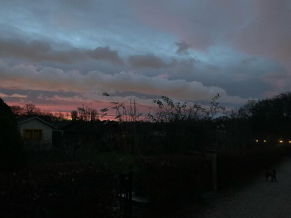 wie&shy;der zu&shy;hau&shy;se und fri&shy;da meint sie kann noch&shy;mal die sau ein biss&shy;chen raus&shy;las&shy;sen. am deich sind wir ger&shy;ne vor &hellip;
