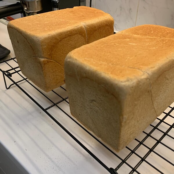 die­ses toast­brot mit rog­gen­sauer­teig und rog­gen po­lish scheint so fluf­fig, dass es mich beim raus­ho­len …