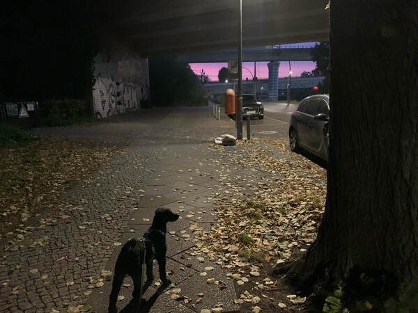 wenn mor&shy;gens fr&uuml;h raus, al&shy;les sch&ouml;n.