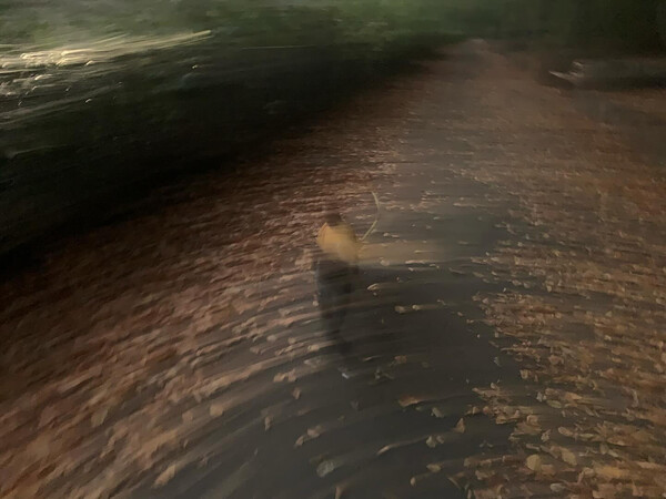 fr&uuml;h raus, al&shy;les sch&ouml;n.