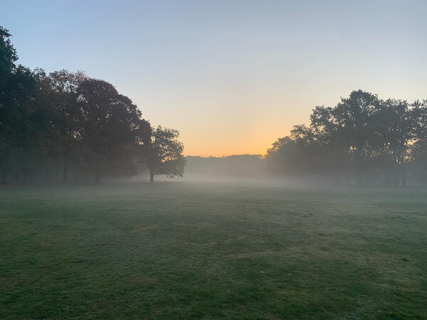 mor&shy;gens fr&uuml;h raus, al&shy;les sch&ouml;n