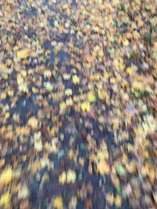 schon sch&ouml;n hier.