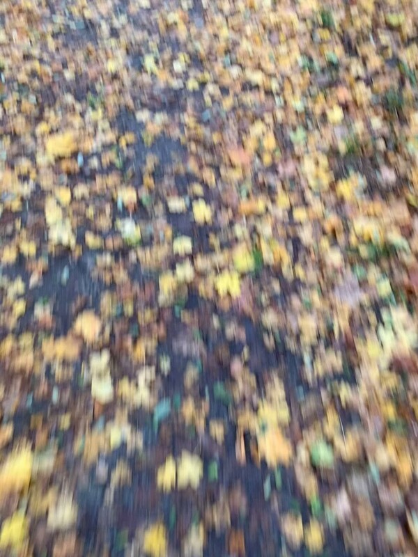 schon schön hier.