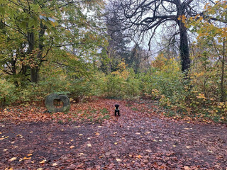 Photo by felix schwenzel on November 04, 2024. Keine Fotobeschreibung verfügbar..