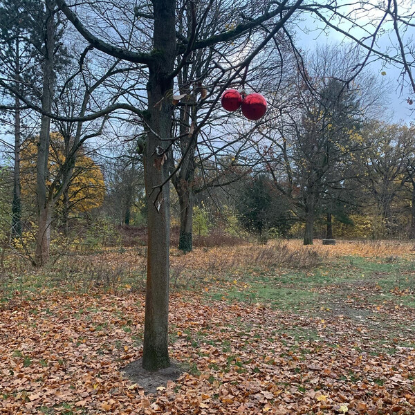 christbaumkugeln in den rehbergen