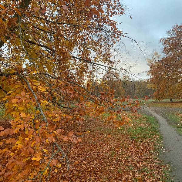 herbst&shy;lich hier.