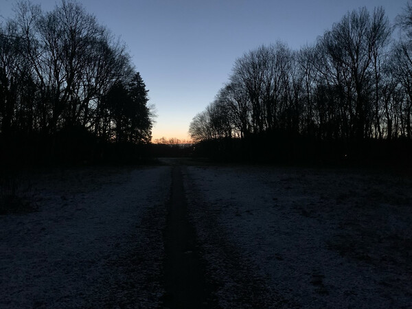 mor&shy;gens fr&uuml;h raus, al&shy;les sch&ouml;n.