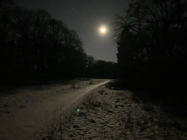 reh&shy;ber&shy;ge heu&shy;te fr&uuml;h um 5:45 uhr. es war tag&shy;hell durch den bei&shy;na&shy;he vol&shy;len mond. zu&shy;min&shy;dest wenn sich die au&shy;gen &hellip;