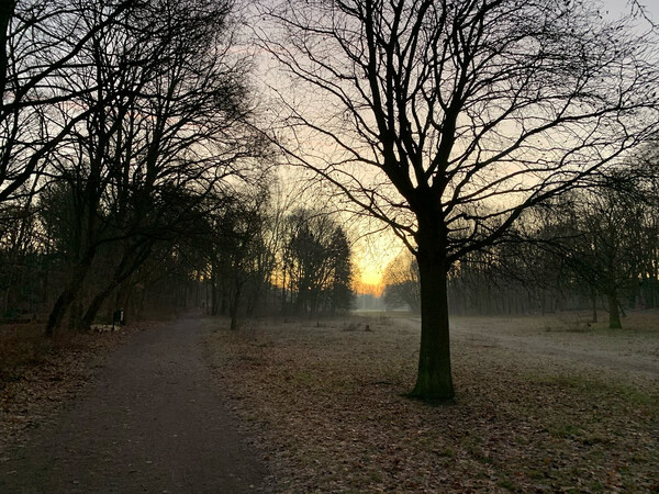 sch&ouml;n drau&shy;&szlig;en um 7:44 h.