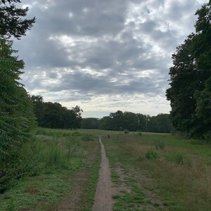 über den wol­ken … muss es wohl sehr son­nig sein.