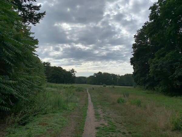 &uuml;ber den wol&shy;ken &hellip; muss es wohl sehr son&shy;nig sein.