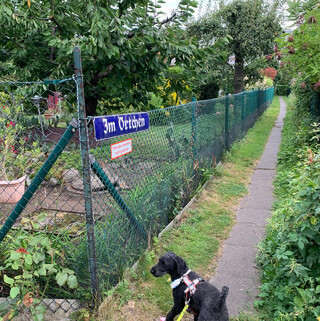 foto eines strassenschildes in einer gartensiedlung auf dem steht „im örtchen“. dadrunter ein schild mit der aufschrift „fahrräder abstellen nicht gestattet“. auf diesem bild sieht man auch frida, unseren pudel.