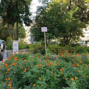 ir­gend­wie früh­lings­haft
