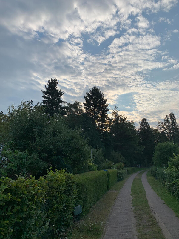 sch&ouml;&shy;ner him&shy;mel heu&shy;te