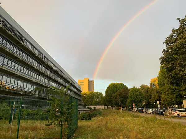 morgenspaziergang mit regenbogen und banane