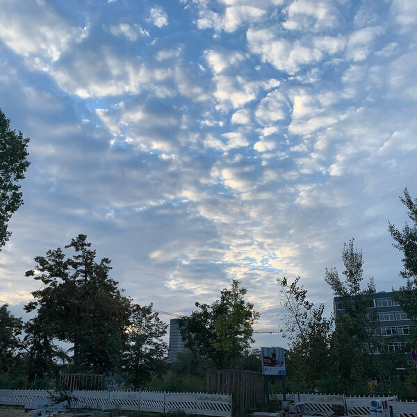 autumn is coming