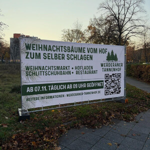 mor­gen­spa­zier­gang 07.11.2025