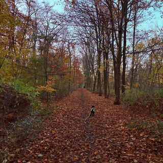 morgenspaziergang 07.11.2025