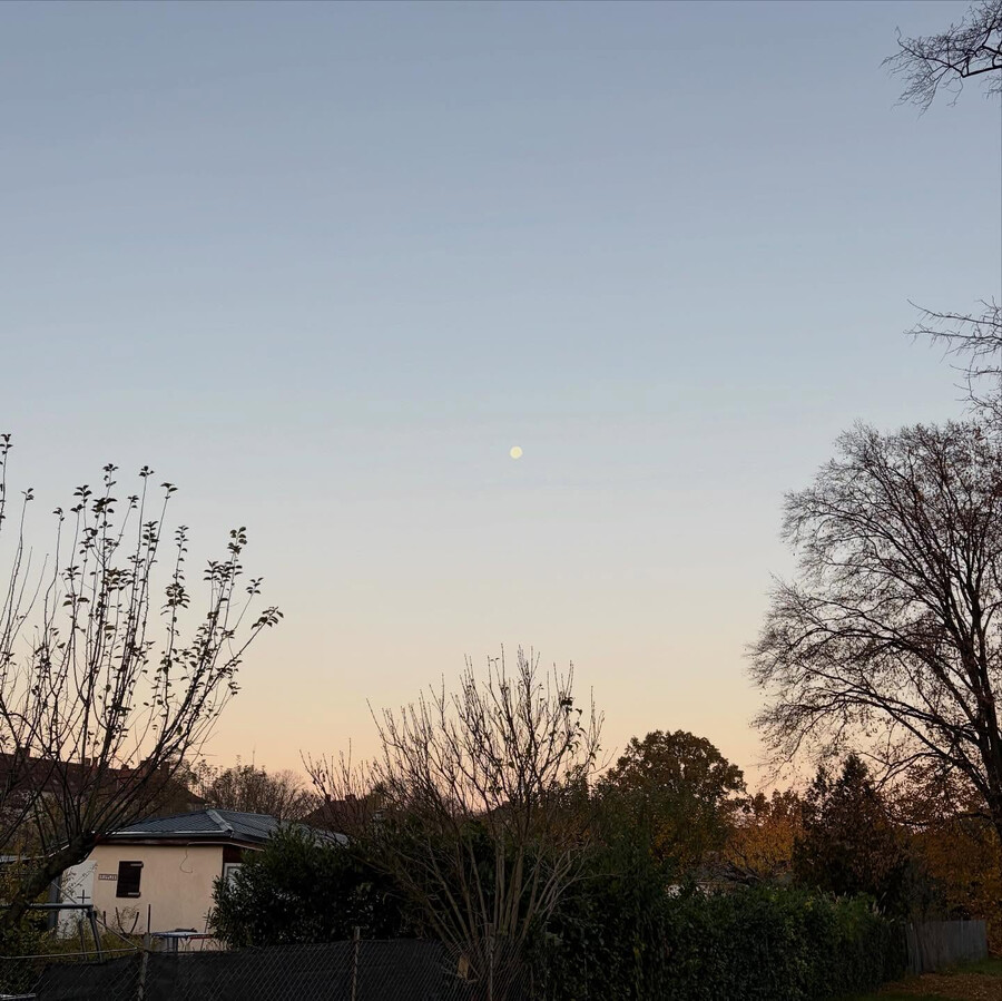 2025-11-07_07-48-00_UTC_4