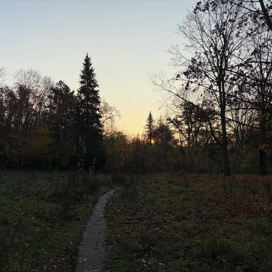 2025-11-07_07-48-00_UTC_3