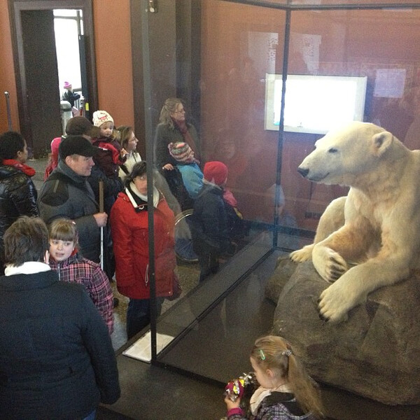 knut&shy;wat&shy;ching