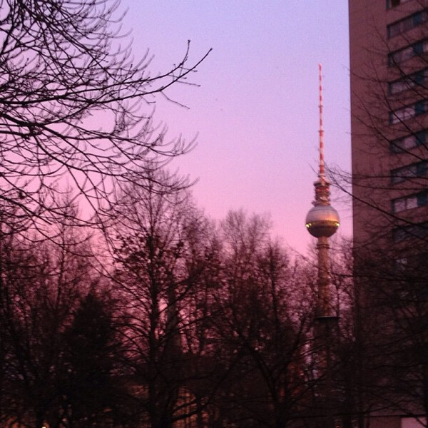 pilz&shy;zeit