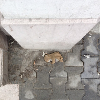 Photo by felix schwenzel in Kupiec Poznański. Keine Fotobeschreibung verfügbar..