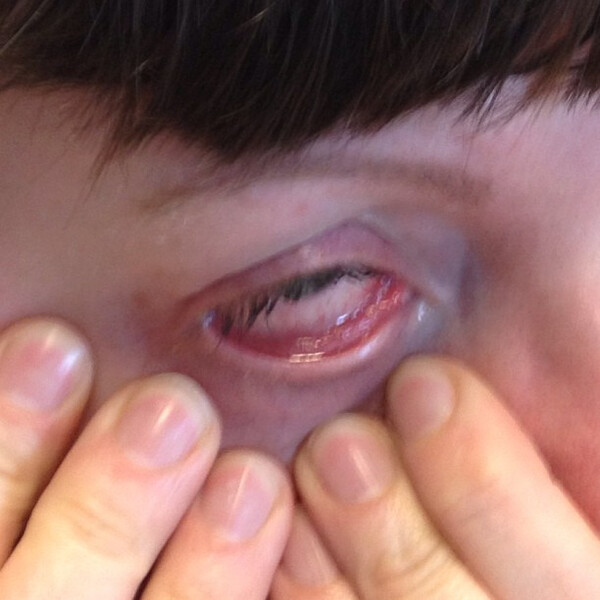 wa&shy;sa&shy;bi-auge
