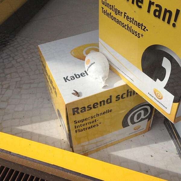 das k&ouml;nn&shy;te man pri&shy;ma als sym&shy;bol&shy;bild f&uuml;r #ka&shy;bel&shy;deutsch&shy;land oder #neu&shy;land be&shy;nut&shy;zen