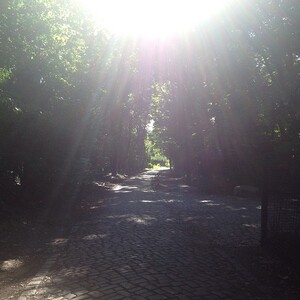 Photo by felix schwenzel in Volkspark Rehberge. Keine Fotobeschreibung verfügbar..