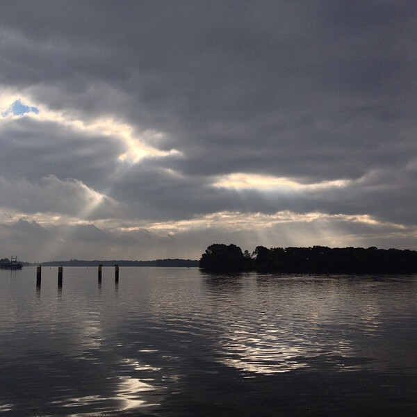 wol&shy;ken&shy;see&shy;ing am tegler see