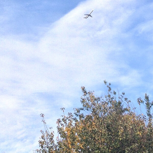 wald&shy;flug&shy;zeug