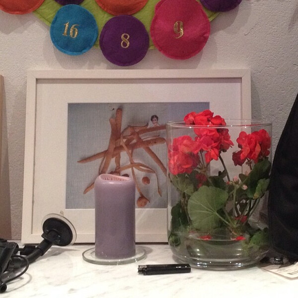 ehe&shy;ma&shy;li&shy;ge bal&shy;kon&shy;blu&shy;me hin&shy;ter glas