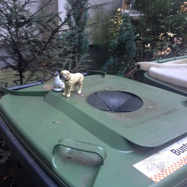 alt&shy;glas&shy;hund