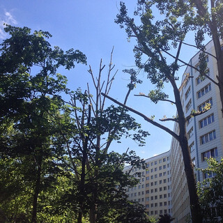 Photo by felix schwenzel on June 01, 2014. Keine Fotobeschreibung verfügbar..