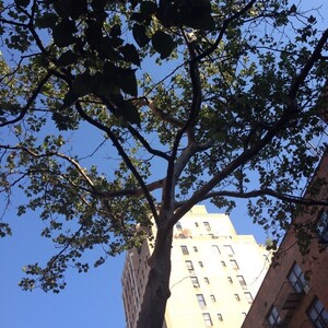 Photo by felix schwenzel in Chelsea, Manhattan N.Y.. Keine Fotobeschreibung verfügbar..