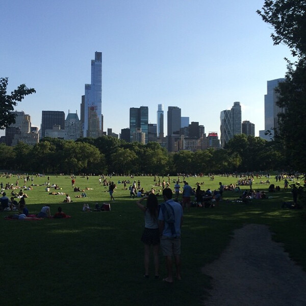 sonn&shy;tags new york times im cen&shy;tral park auf pa&shy;pier le&shy;sen.