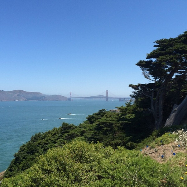 es ist an&shy;ge&shy;nehm k&uuml;hl in i ❤️sf.
