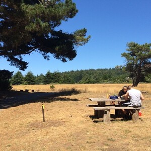 Photo by felix schwenzel in Gualala Point Regional Park. Keine Fotobeschreibung verfügbar..