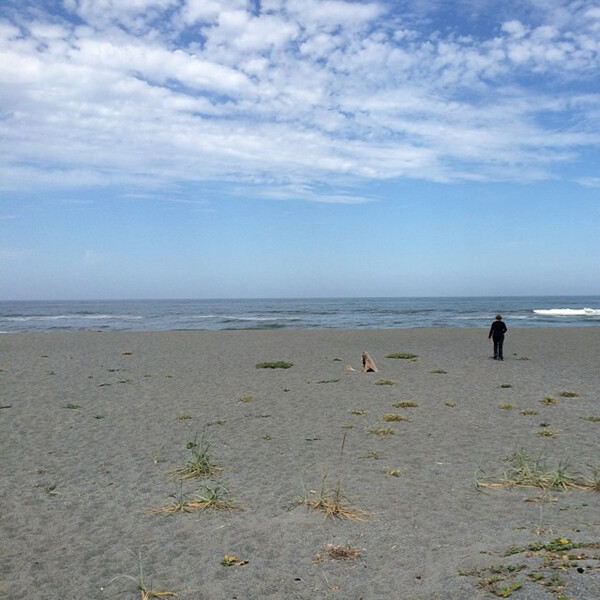 die bei&shy;fah&shy;re&shy;rin und das meer.