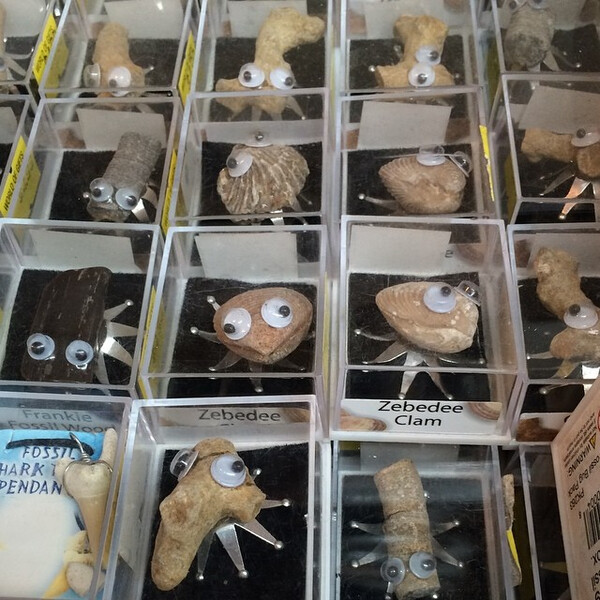 mu&shy;scheln mit au&shy;gen.