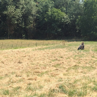 @katias_bilder auf nem mini bike mit rasenmähermotor.