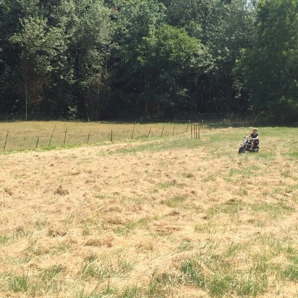 @ka&shy;ti&shy;as_bil&shy;der auf nem mini bike mit ra&shy;sen&shy;m&auml;&shy;her&shy;mo&shy;tor.