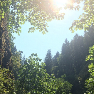 Photo by felix schwenzel in Oneonta Gorge. Keine Fotobeschreibung verfügbar..