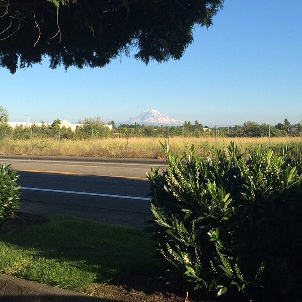 hel&shy;lo again, mount ra&shy;ni&shy;er.