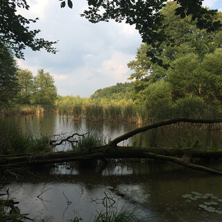 Photo by felix schwenzel on September 07, 2014. Keine Fotobeschreibung verfügbar..
