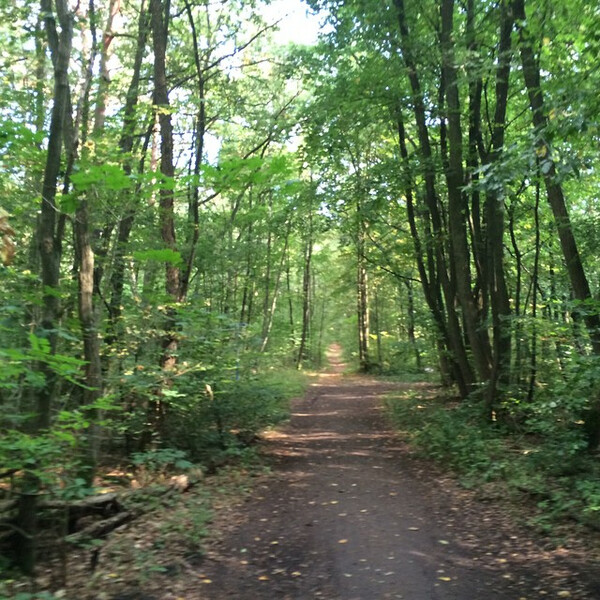 wald