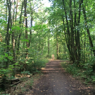 Photo by felix schwenzel on September 07, 2014. Keine Fotobeschreibung verfügbar..