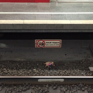 Photo by felix schwenzel in München Hauptbahnhof. Keine Fotobeschreibung verfügbar..