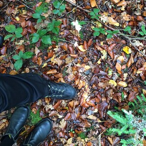 Photo by felix schwenzel on October 18, 2014. Keine Fotobeschreibung verfügbar..